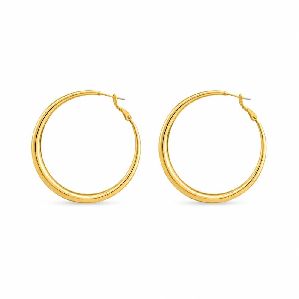 Fione Oorbellen - Goud